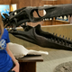 Amelia Zietlow with a cast of Mosasaurus conodon at the South Dakota School of Mines & Technology in Rapid City, SD.